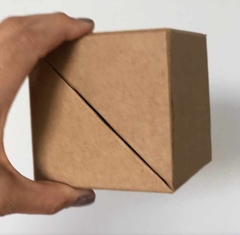 Cubo asistente