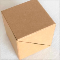 Cubo asistente en internet