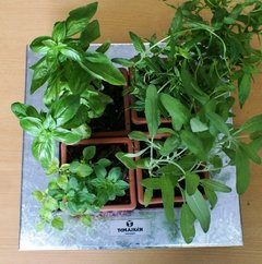 Huerta aromáticas en internet