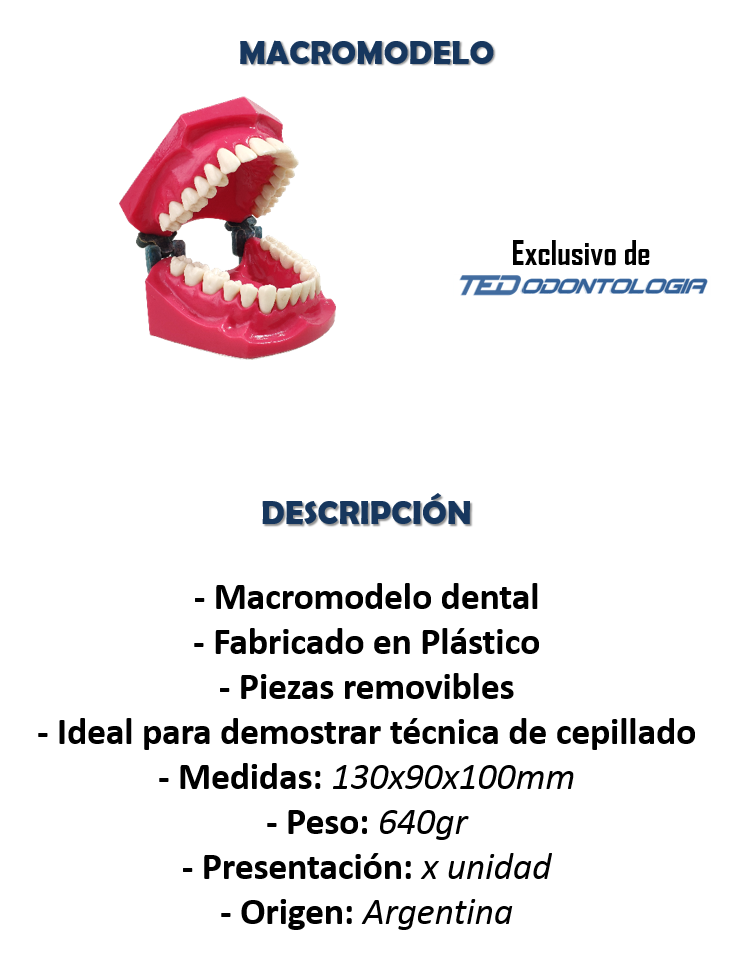 Macromodelo Caja de Dientes con Cepillo - Vision Salud S.A.S.