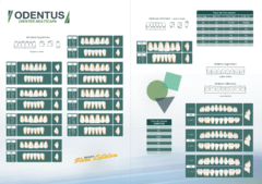 ODENTUS dientes 4 capas (multicapa) - comprar online