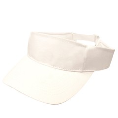 Visera