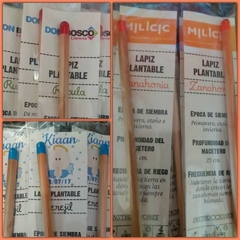 Lápiz de madera cubierto con resina marrón - comprar online