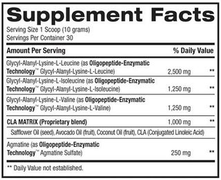 Best bcaa (300 gr) - BPI - comprar online