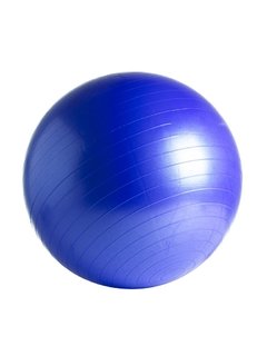 Gym Ball (DIAM: 55 65 75 y 85 cm) - MM Fitness - comprar online