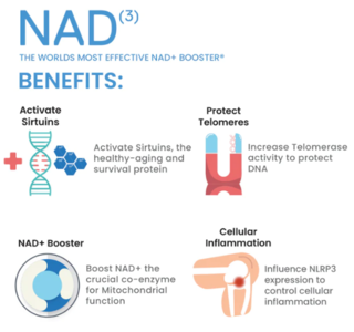 NAD 3 Foutain of Youth (240 caps) - High Performance Nutrition - tienda online