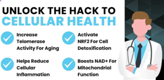 NAD 3 Foutain of Youth (240 caps) - High Performance Nutrition - MMSuplementos