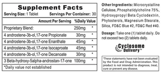 Sustanon 250 (30 tabletas) - Hi Tech - comprar online