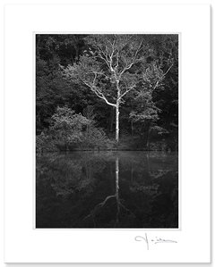 Foto Original Fernando Casanueva.