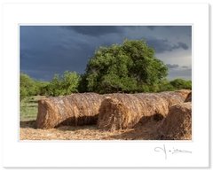 Fine Art │ Original Fotográfico │ Fernando Casanueva