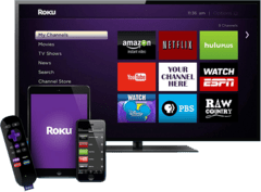 REPRODUCTOR MULTIMEDIA ROKU HDMI 1080P WIFI CONTROL REMOTO NETFLIX YOUTUBE en internet