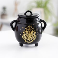CALDERO HARRY POTTER - comprar online