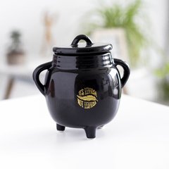 CALDERO HARRY POTTER - tienda online