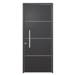 Puerta Modelo 480