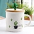 Mug / taza + cuchara + tapa 400 cc