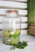 Dispenser para bebidas de 5 litros