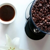 Molinillo eléctrico "Oster" para café - comprar online