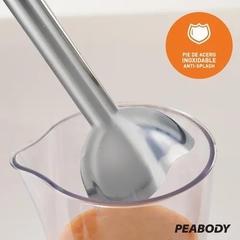 Imagen de Minipimer "Peabody" 800w