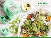 Rallador eléctrico "Yelmo" - Tecno cocina