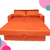 Sofa Cama 2 plazas - tienda online