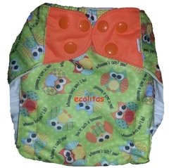 Oso estampado / velcro en internet