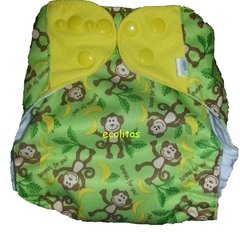Oso estampado / velcro