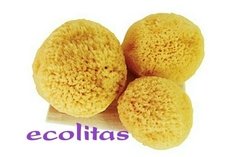 ESPONJA VAGINAL MELUNA