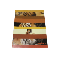 Cuaderno T-F AMÉRICA 24 hojas rayado