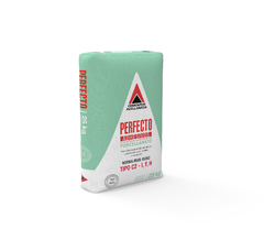 PERFECTO PORCELANATO X 25 KG