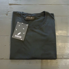 Remera Santa Rosa en internet