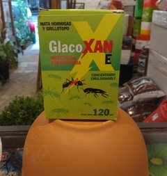 GlacoXan insecticida-hormiguicida 120cm3