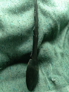 CUCHARA EN MADERA DURA - comprar online