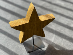 ESTRELLA RÚSTICA