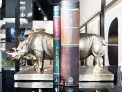 SUJETA LIBROS RINO