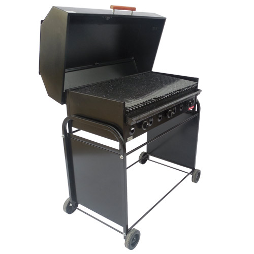 Parrilla a gas invernativa