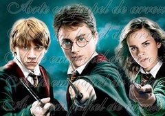 Harry Potter (Modelo 02)