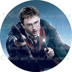 Harry Potter (Modelo 03)