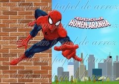 Homem-Aranha (Modelo 03)