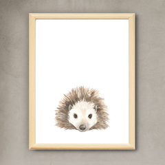 Cuadros Animalitos en internet