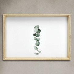 Cuadros Botánica - comprar online