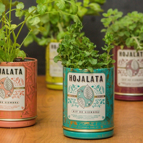 KIT de Siembra 3 HIERBAS AROMÁTICAS + MIX FLORAL de estación - comprar online