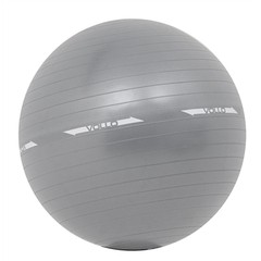 Bola Pilates Gym Ball Com Bomba 65cm - VP1029 - Vollo