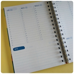 Agenda Magia