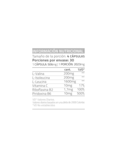 BCAA 2000 X 120 CAPS - STAR NUTRITION - comprar online