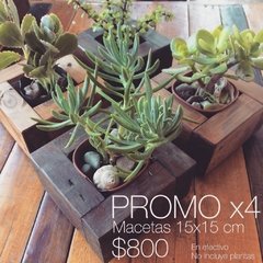 PROMO x 4 MACETITAS 15x15 cm