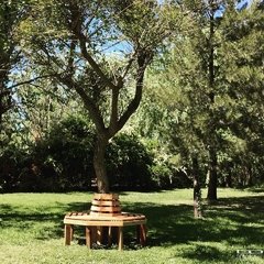 BANCO "ARBOL"