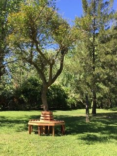 BANCO "ARBOL" - Decopallet