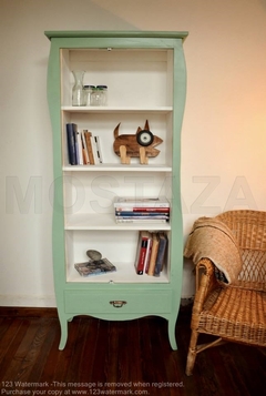 Biblioteca Vintage