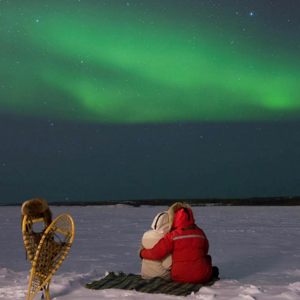 Aurora Boreal: Veja Fotos Incríveis e Detalhes do Fenômeno