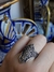 Anillo Denali Plata 925